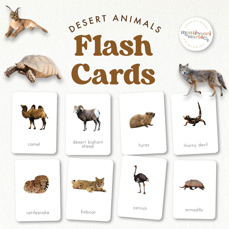 Desert animals flash cards with real photos — ages 3-6
