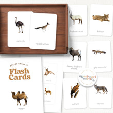 Load image into Gallery viewer, Desert Animals Flash Cards
