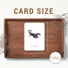 Load image into Gallery viewer, Desert Animals Flash Cards
