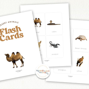 Desert Animals Flash Cards