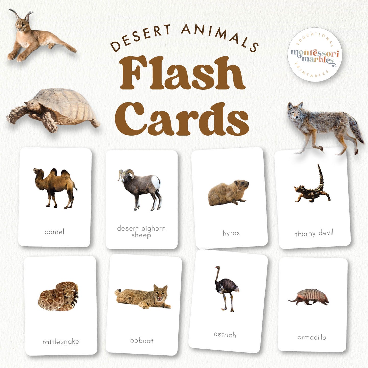 Desert Animals Flash Cards