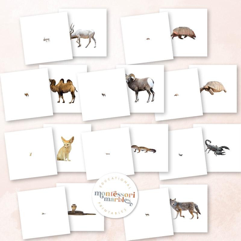 Desert Animals Magni Match