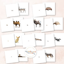 Load image into Gallery viewer, Desert Animals Magni-Match
