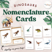 Dinosaur 3-part nomenclature cards for paleontology