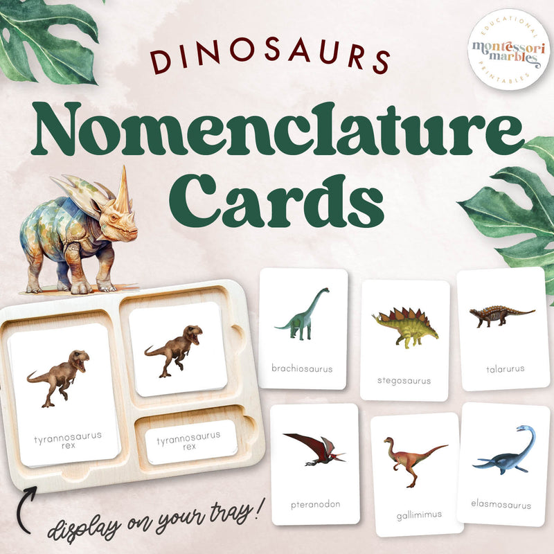 Dinosaur 3-part nomenclature cards for paleontology