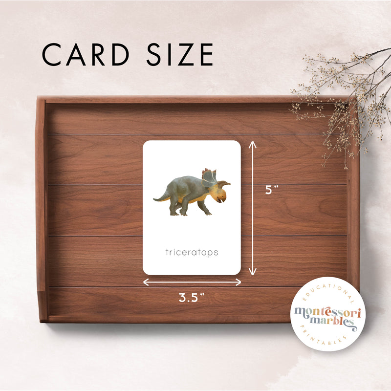 Dinosaur Nomenclature Cards