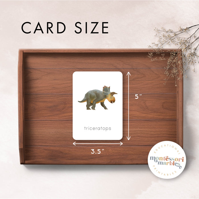 Dinosaur Nomenclature Cards