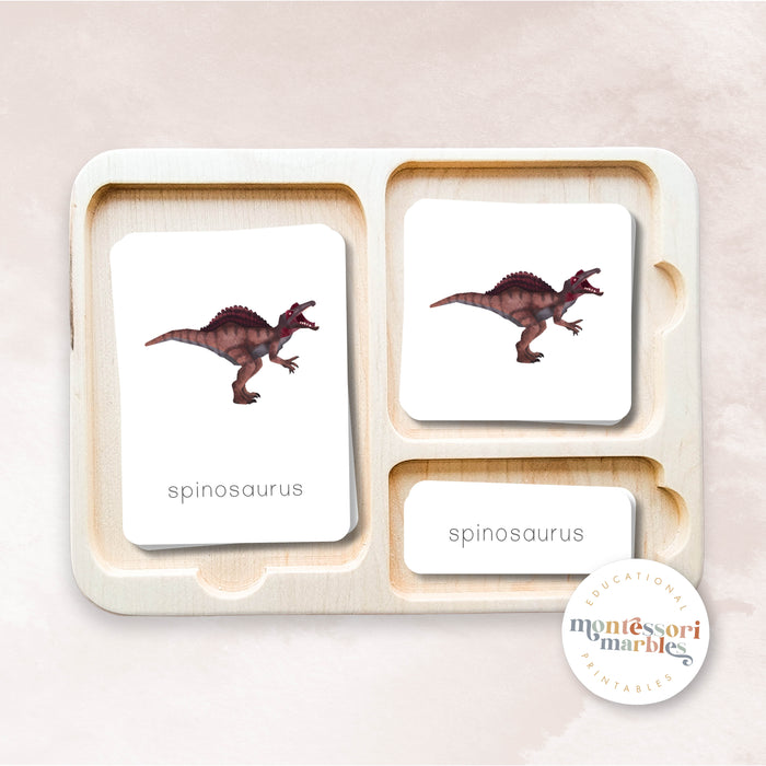 Dinosaur Nomenclature Cards