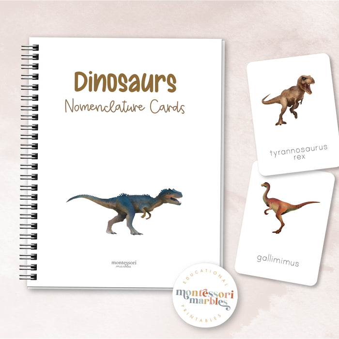 Dinosaur Nomenclature Cards