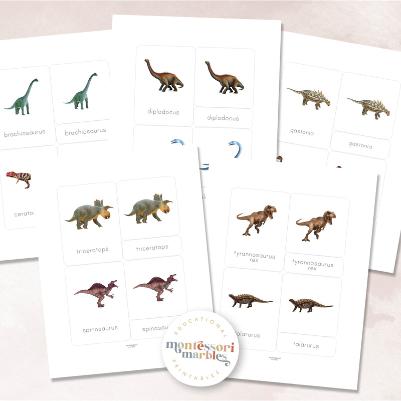 Dinosaur Nomenclature Cards