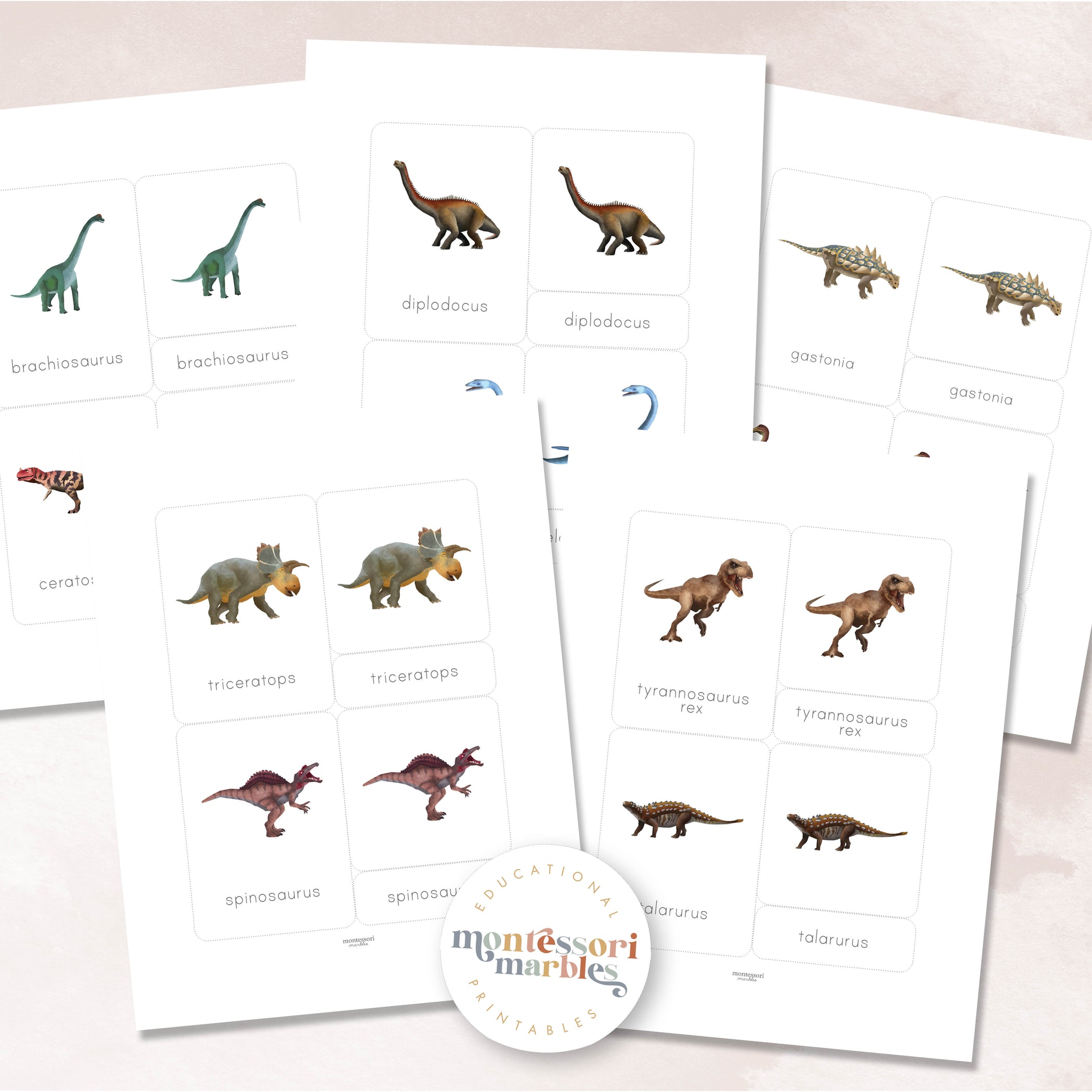 Dinosaur Nomenclature Cards | 18 Prehistoric 3-Part Cards Ages 4-7 ...