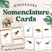 Load image into Gallery viewer, Dinosaur Nomenclature Cards
