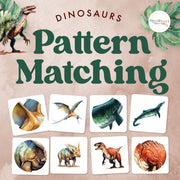 Dinosaurs pattern matching for prehistoric learning