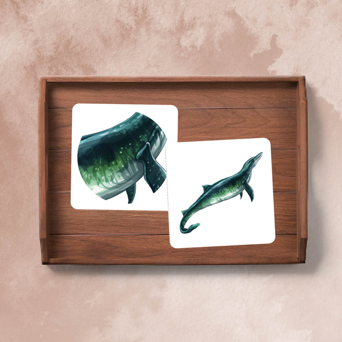 Dinosaurs Pattern Matching