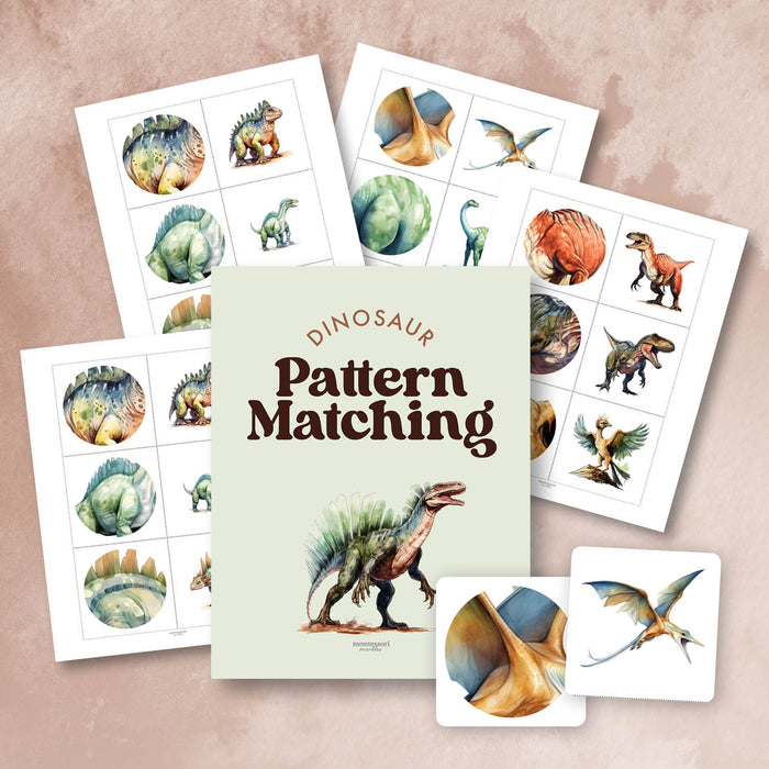 Dinosaurs Pattern Matching | 12 Sets Visual Discrimination Activity 2-4 ...