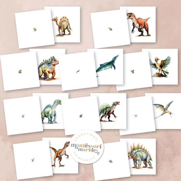Dinosaurs Magni-Match
