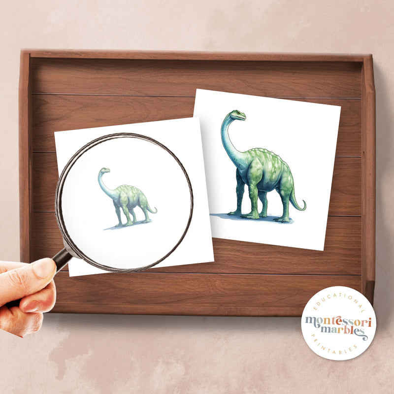 Dinosaurs Magni Match