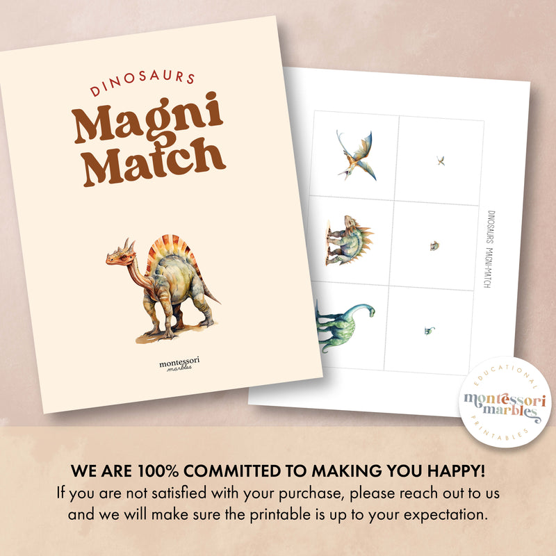 Dinosaurs Magni Match
