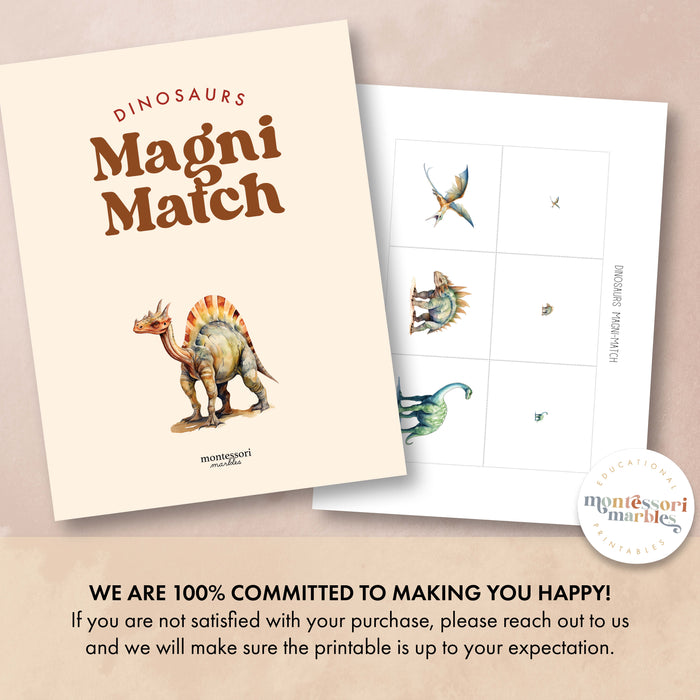 Dinosaurs Magni-Match
