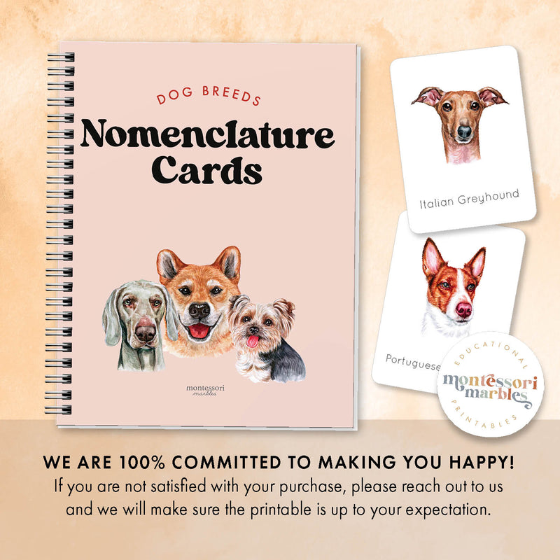 Dogs Nomenclature Cards