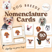 Dogs nomenclature cards exploring mammals — ages 3-6