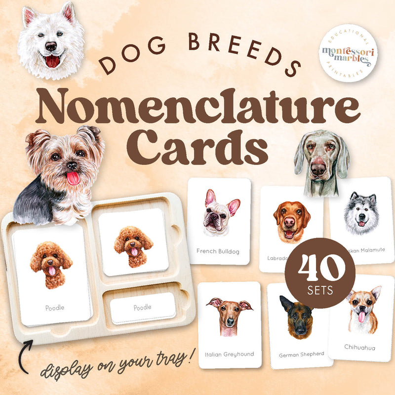 Dogs nomenclature cards exploring mammals — ages 3-6