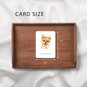 Dogs Nomenclature Cards