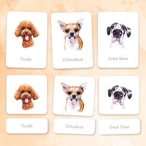 Dogs Nomenclature Cards