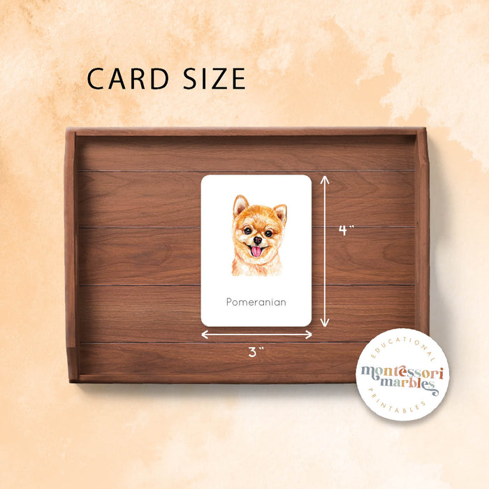 Dogs Nomenclature Cards