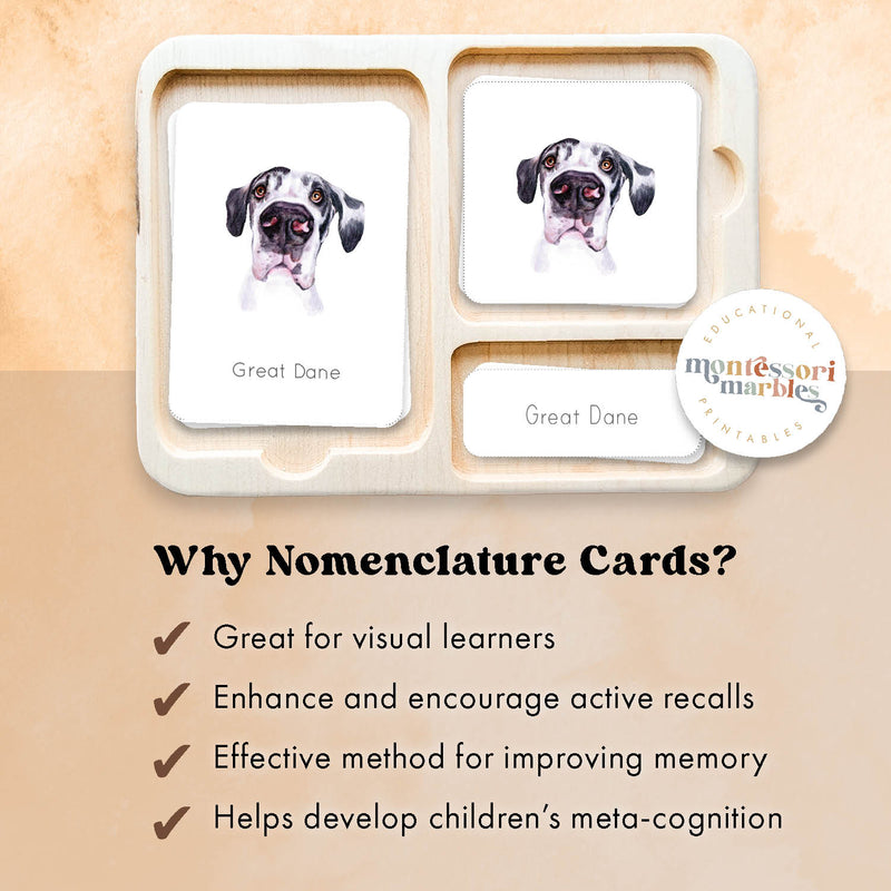 Dogs Nomenclature Cards