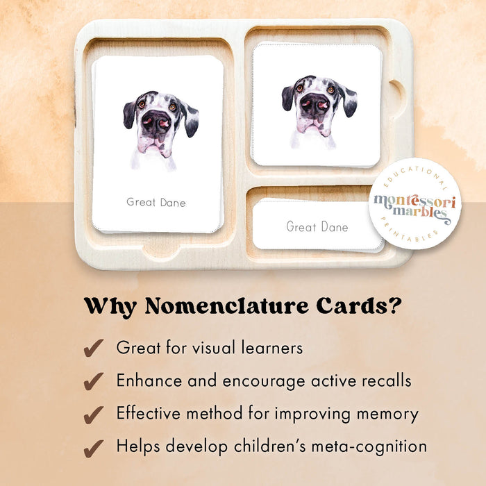 Code Names Dog Card Dog Breeds Nomenclature Cards | 40 Pet 3-Part Cards Mammals Ages 4-8 ...