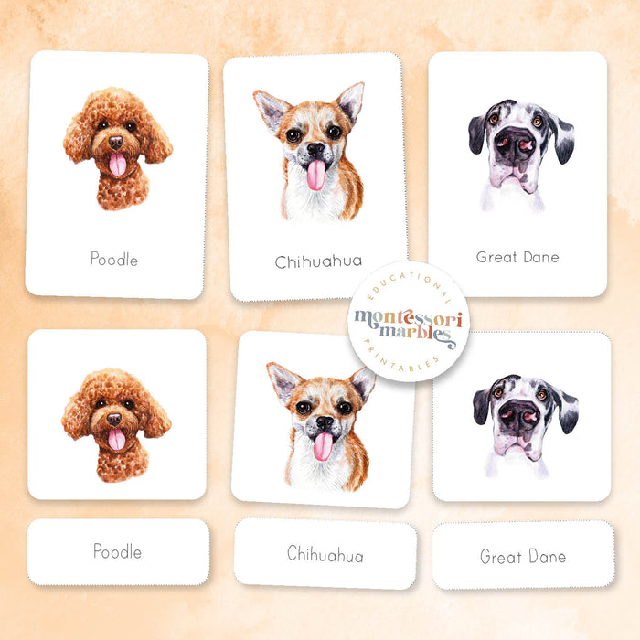 Dogs Nomenclature Cards