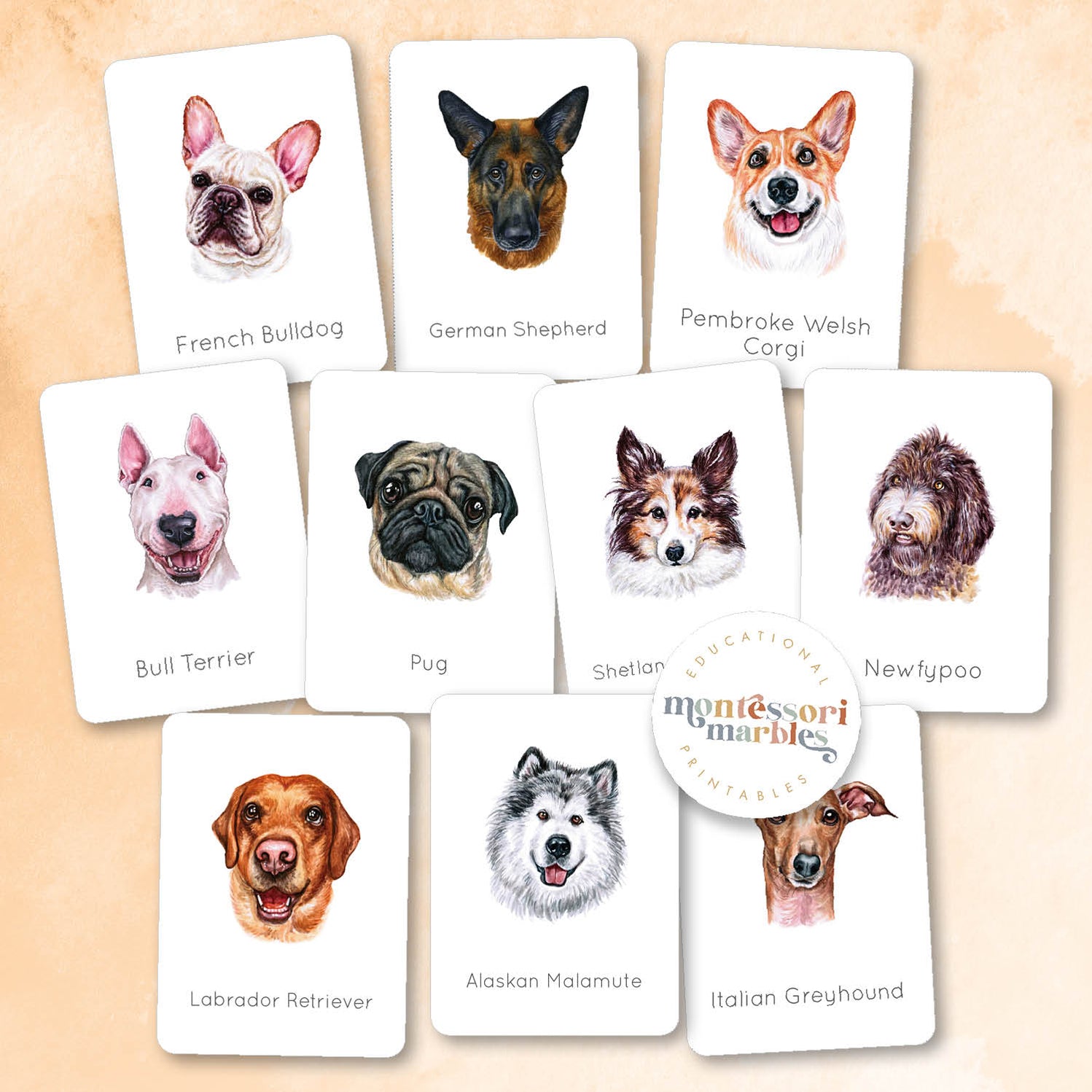 Code Names Dog Card Dog Breeds Nomenclature Cards | 40 Pet 3-Part Cards Mammals Ages 4-8 ...