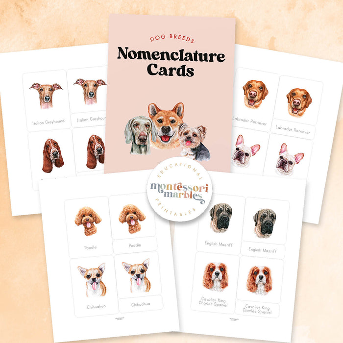 Dogs Nomenclature Cards