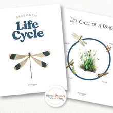 Load image into Gallery viewer, Dragonfly Life Cycle
