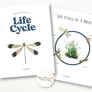 Dragonfly Life Cycle