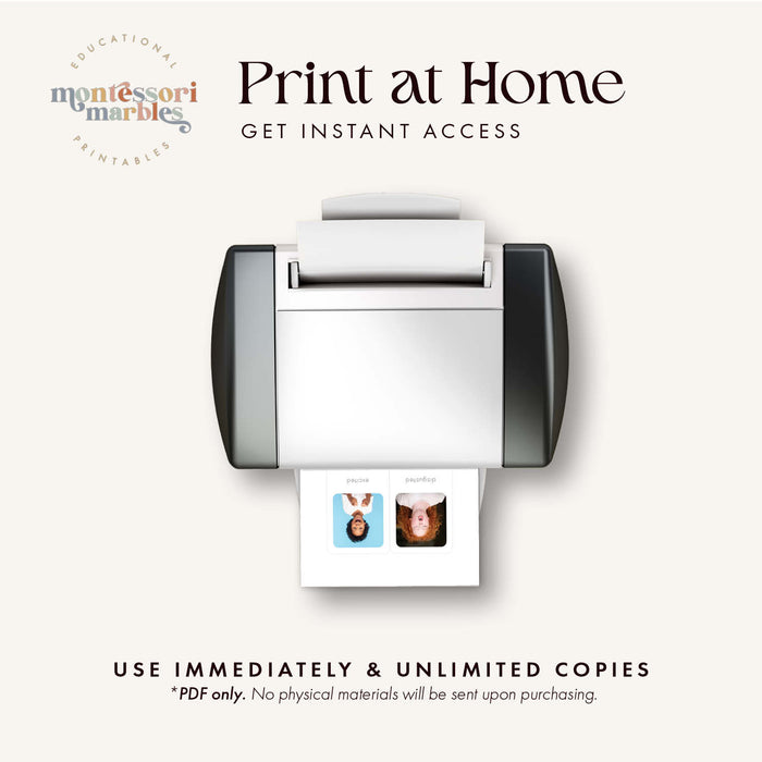 Emotions Flash Cards