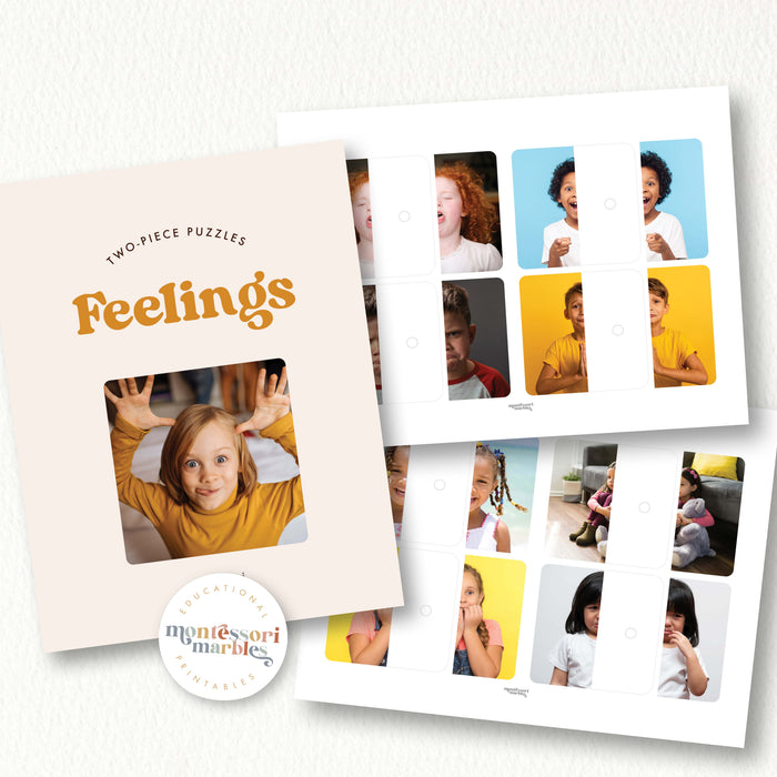 Emotions & Feelings Two-Piece Puzzles