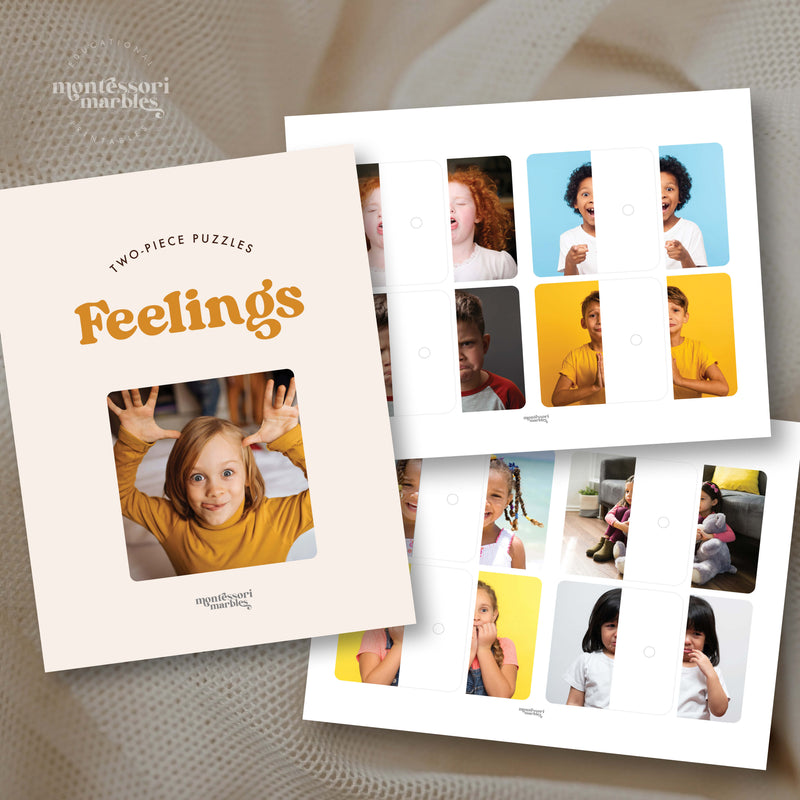 Emotions & Feelings Two-Piece Puzzles