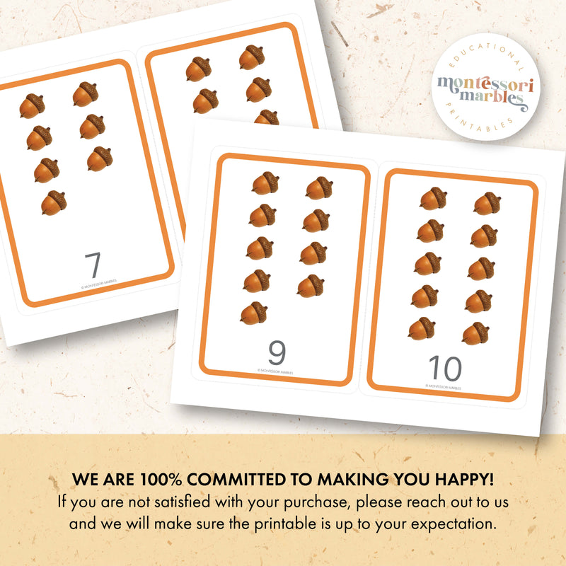 Acorns Counting 1 to 10