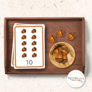 Acorns Counting 1 to 10