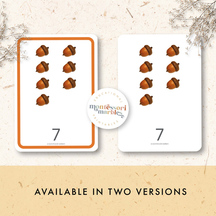 Acorns Counting 1 to 10