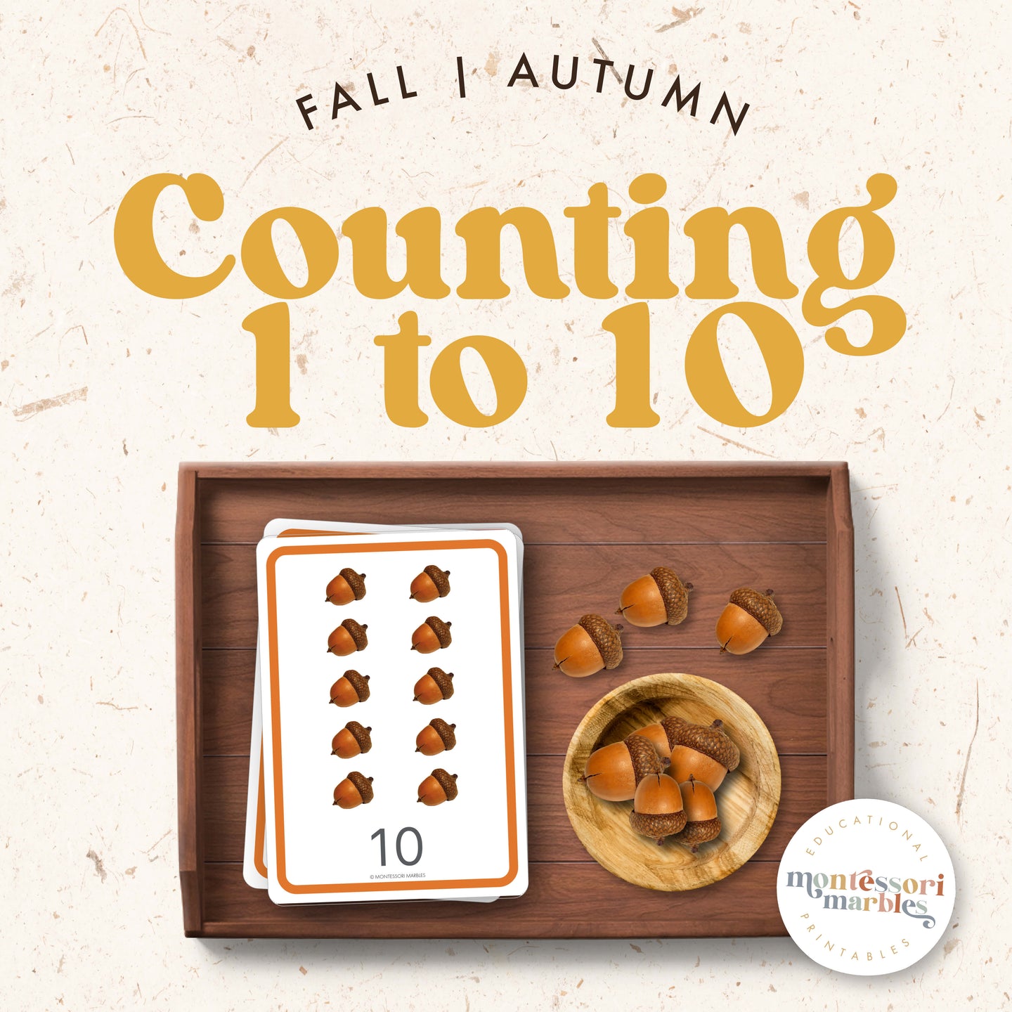 Acorns Counting 1 to 10