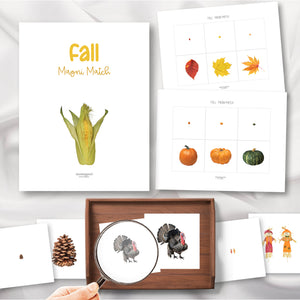 Fall Magni-Match