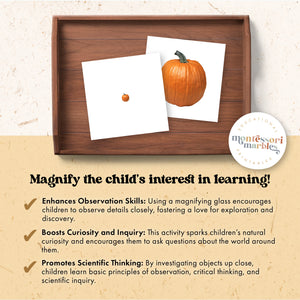 Fall Magni-Match