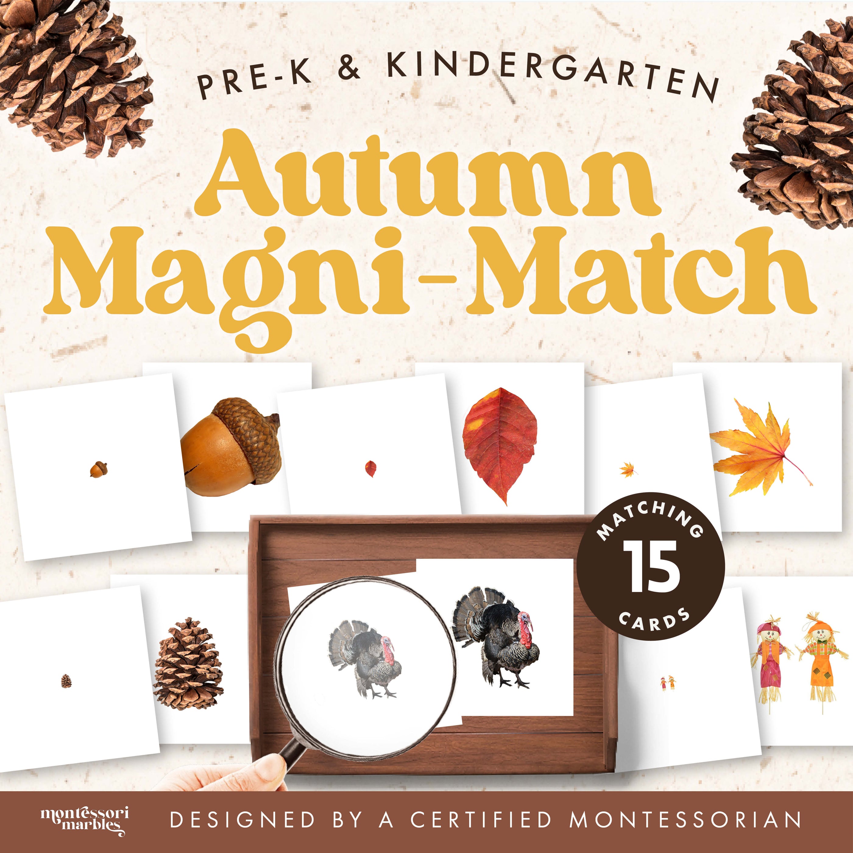 Fall Magni Match | 15 Sets Magnifying Glass Visual Game Ages 3-6 PDF ...