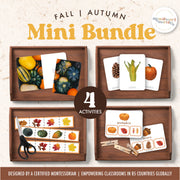 Fall-themed bundle collection of Montessori-inspired preschool activities