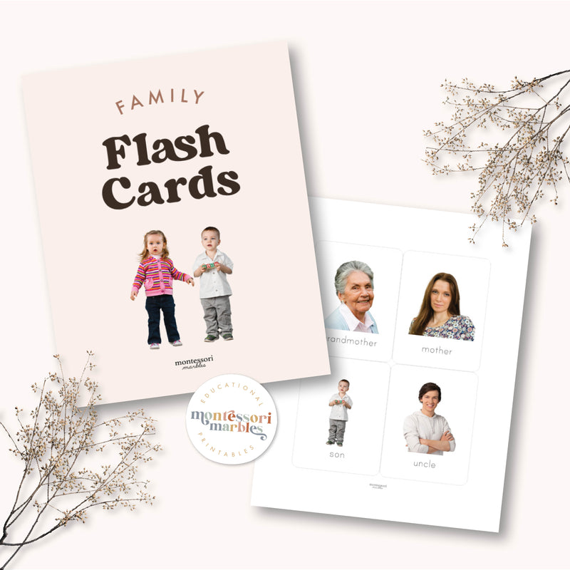 Family Flash Cards