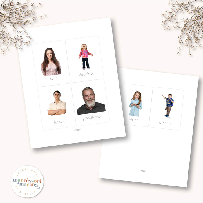 Family Flash Cards