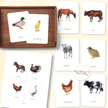 Load image into Gallery viewer, Farm Animals Flash Cards
